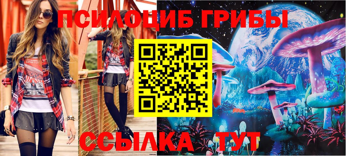 Псилоцибиновые грибы GOLDEN TEACHER  Псилоцибиновые грибы Magic Shrooms  Вход с VPN  Элиста 