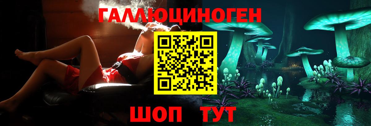 Псилоцибиновые грибы MAGIC MUSHROOMS Элиста